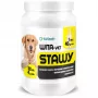 EWE EUROWET Wita-Vet Joints - Toidulisand koertele - 30 tabletti