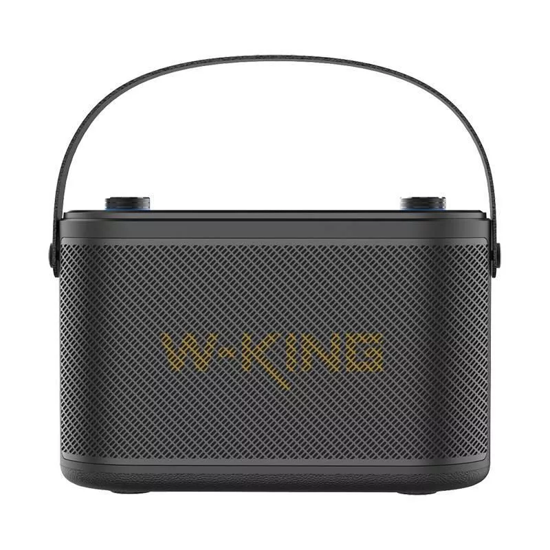 W-KING H10 Kaasaskantav Bluetooth kõlar 120W RGB tuled IPX6 Must