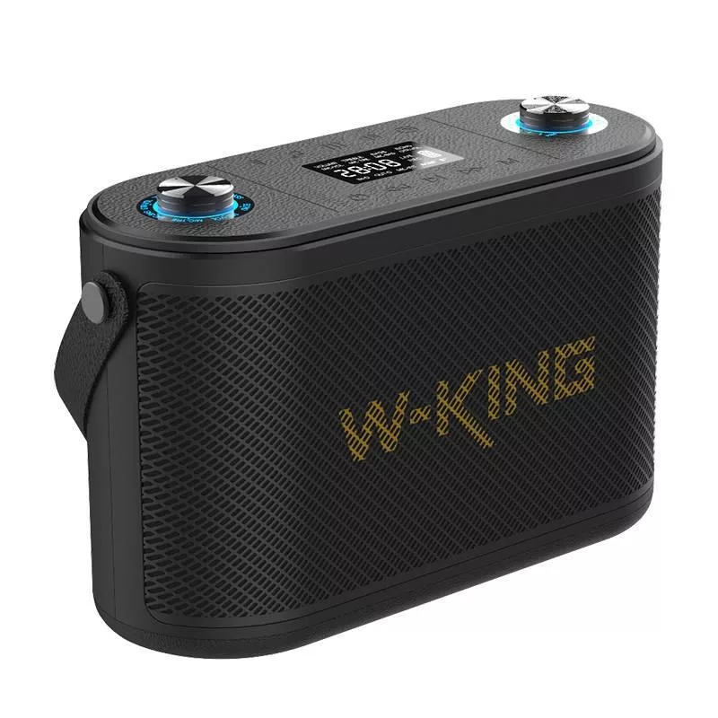 W-KING H10 Kaasaskantav Bluetooth kõlar 120W RGB tuled IPX6 Must