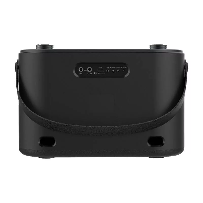 W-KING H10 Kaasaskantav Bluetooth kõlar 120W RGB tuled IPX6 Must