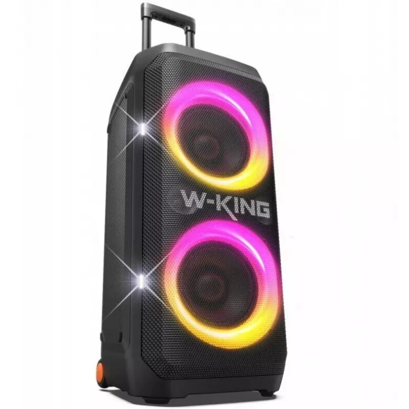 W-KING T12 juhtmeta Bluetooth kõlar – must