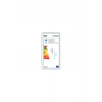 RZB 211005.002 Opal Glass Valgusti 60W IP43 Siidmatt D=250mm