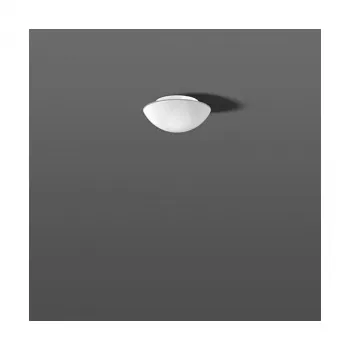 RZB 211005.002 Opal Glass Valgusti 60W IP43 Siidmatt D=250mm
