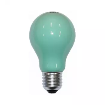 Scharnberger 40246 Hõõglamp 25W Roheline B60x105mm E27 240V