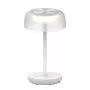 SYNERGY21 LED laualamp SOLAR/laetav aku, välitingimustesse IP54, puutetundlik lüliti dimmimisega, läbipaistev-valge