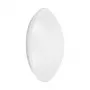 Osram SURFACE CIRCULAR 400 24W 830 IP44 LED sein-/laelamp 3000K 1920lm