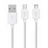Rio DCWU-EU/1,6 USB Hambavalgenduskomplekt
