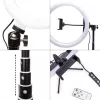 RIO RL12-EU/1,4 30cm Studio RGB Beauty Ring Light