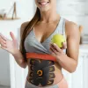 Bodi-Tek BT-ABTR5-EU/1.1 Ab Trainer Must/Oranž