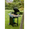 Barbecook Gaasigrill Spring 3112 koos hoiuruumiga, 115 x 55 x 133 cm