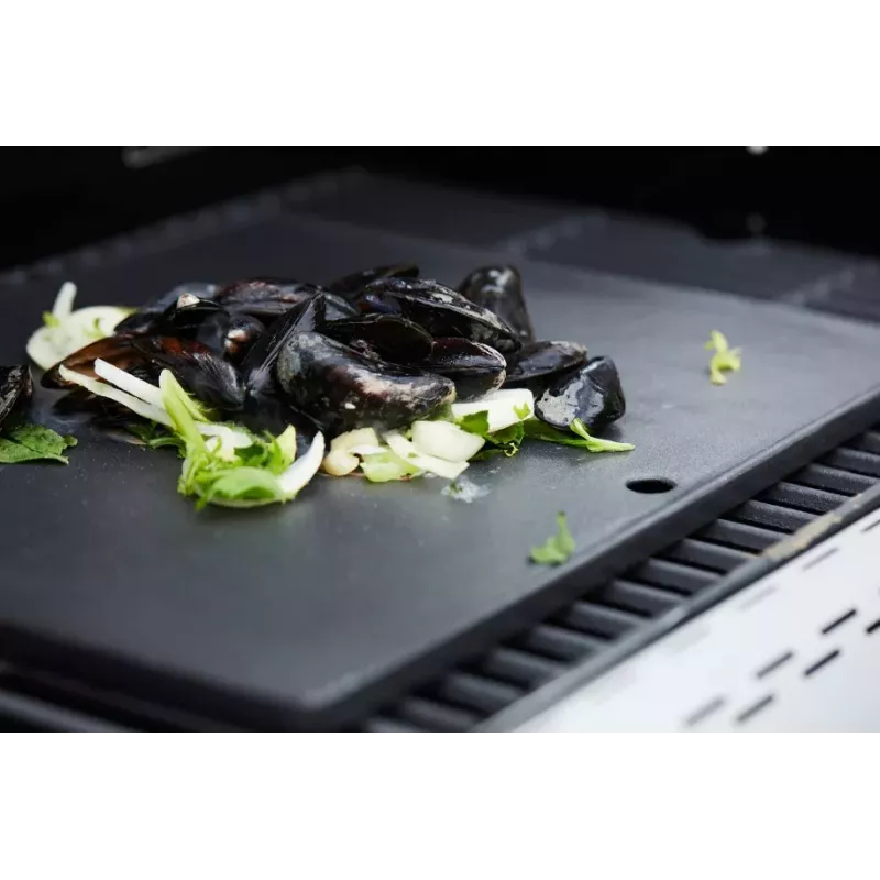 Barbecook Dynamic Core Emailitud Malmist Küpsetusplaat, 43 x 35 x 2 cm