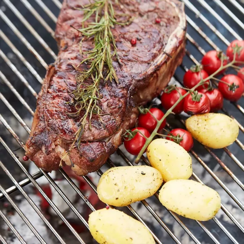 Barbecook Professionaalne küpsetusgrill FSC 58,5 x 68 x 1 cm BC-ACC-7158