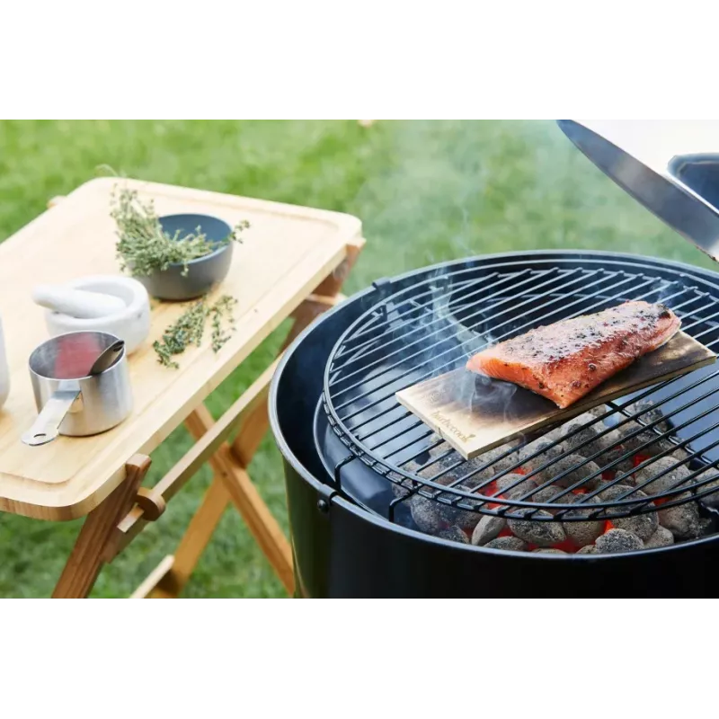 Barbecook roostevabast terasest kastmepott ja pintslikomplekt 10,5 x 7,5 x 23 cm BC-ACC-7211
