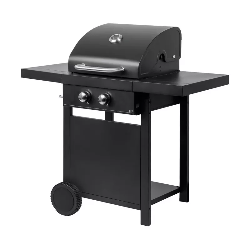 MASTER GRILL 2-Burner Gaasigrill MG669