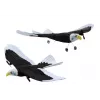 LEAN TOYS Eagle Bird Kaugjuhitav Lennuk 2.4G 41cm x 28cm x 5cm