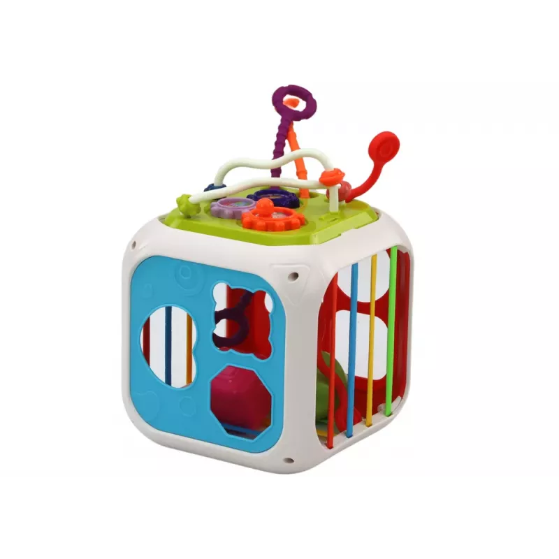 LEAN TOYS Hariv kuubik beebidele Sorter 7in1