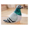LEAN TOYS Plush Gray Crested Pigeon Mascot 20cm