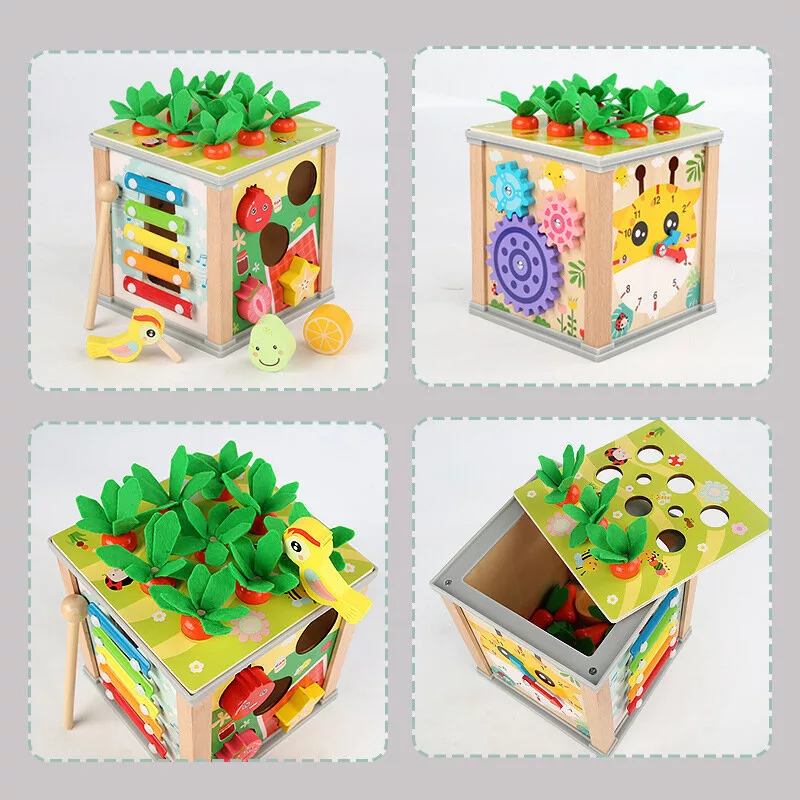 LEAN TOYS Wooden Educational Cube Sorter 5in1 Puzzle Box Blocks
