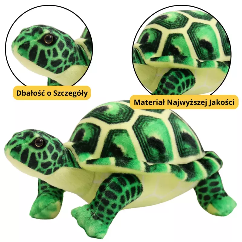 LEAN TOYS Plush Turtle Mascot Cuddly Plush Toy Green 25cm