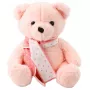 LEAN TOYS Plush Mascot Cuddly Toy Teddy Bear With Scarf Pink 35cm