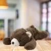 LEAN TOYS Plush Toy Cuddly Toy Lying Brown Bear 30cm