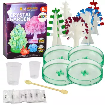 LEAN TOYS Educational Kit Experience Growing Crystal Trees