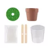 LEAN TOYS Crystal Growing Magic Crystal Tree Educational Experiment