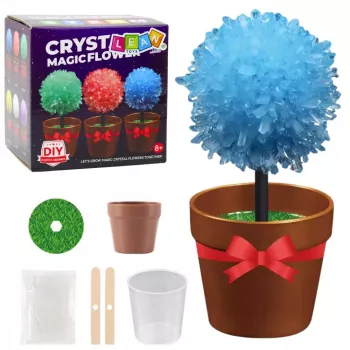 LEAN TOYS Crystal Growing Magic Crystal Tree Educational Experiment