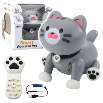 LEAN TOYS Interaktiivne Robotkass Pultjuhitav Kaugjuhtimispult Hall