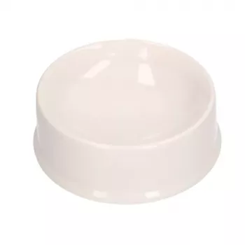 LEAN TOYS Loomingukomplekt Koerakauss Värvimiseks Värvid Pintslid DIY 6 tk