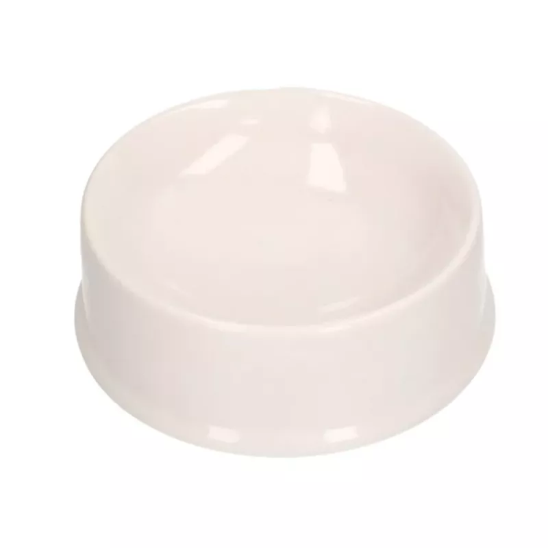 LEAN TOYS Loomingukomplekt Koerakauss Värvimiseks Värvid Pintslid DIY 6 tk