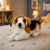 LEAN TOYS Plush Beagle Dog, Stuffed Animal, Soft Dog, 25 cm