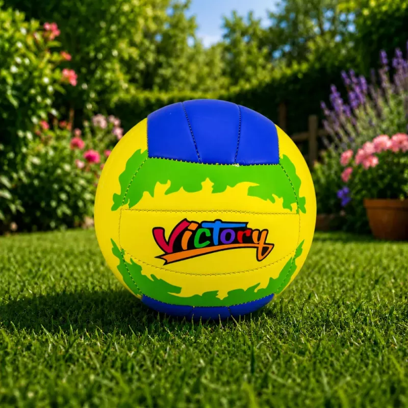 LEAN TOYS võrkpalli treeningpall, kollane ja sinine, 22 cm, suurus 5