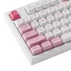 AKKO 5098B Prunus Lannesiana mehaaniline klaviatuur, 98 klahvi, kolme režiimiga, kuumsisestatav, RGB, PBT ASA klahvikatted