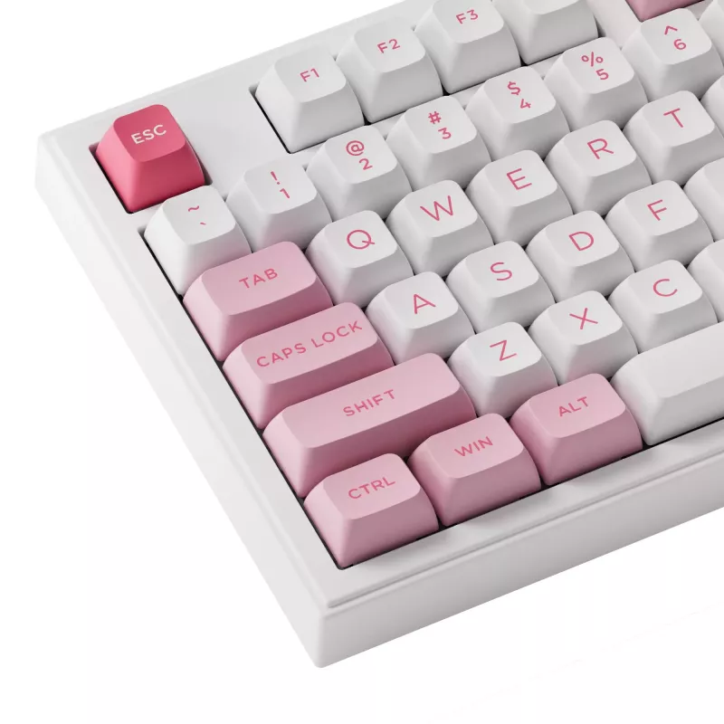 AKKO 5098B Prunus Lannesiana mehaaniline klaviatuur, 98 klahvi, kolme režiimiga, kuumsisestatav, RGB, PBT ASA klahvikatted