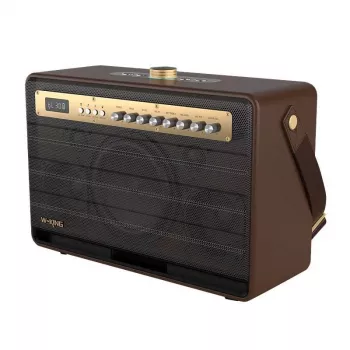 W-KING K6L 120W kaasaskantav Bluetooth kõlar, pruun
