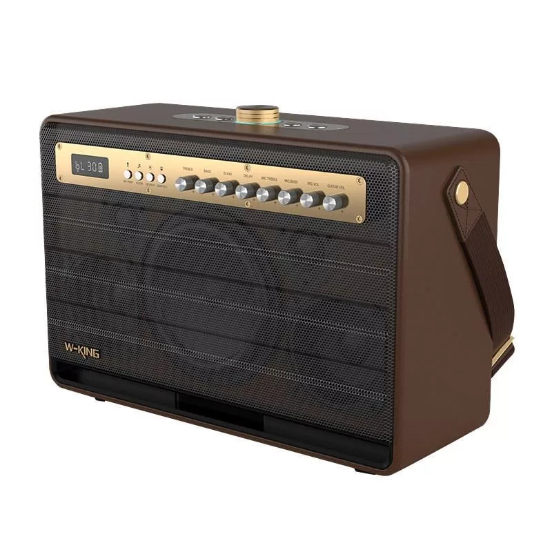 W-KING K6L 120W kaasaskantav Bluetooth kõlar, pruun