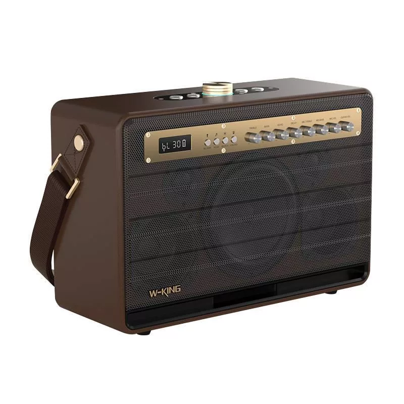 W-KING K6L 120W kaasaskantav Bluetooth kõlar, pruun