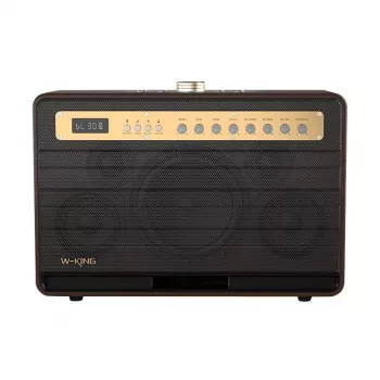 W-KING K6L 120W kaasaskantav Bluetooth kõlar, pruun