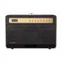 W-KING K6L 120W kaasaskantav Bluetooth kõlar, pruun