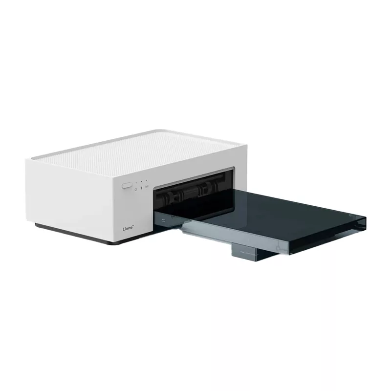 Liene Amber M100 4x6 kaasaskantav fotoprinter