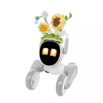 Kootud riietus Loona Premium Sunflower jaoks