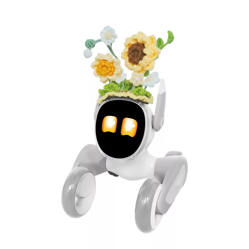 Kootud riietus Loona Premium Sunflower jaoks