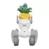 Kootud kostüüm Loona Premium Pineapple'ile