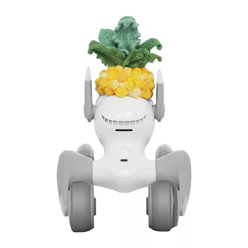 Kootud kostüüm Loona Premium Pineapple'ile