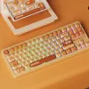 AKKO TAC87 Bun Wonder Tenkeyless mehaaniline klaviatuur - mitmerežiimiline RGB, kuumsulandatav