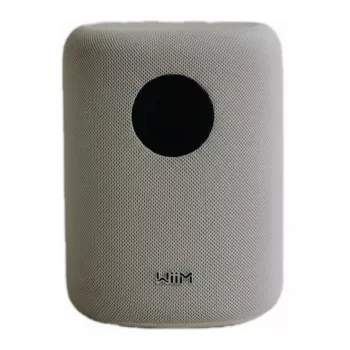 WiiM LPWISNDW Sound Smart Speaker, Valge