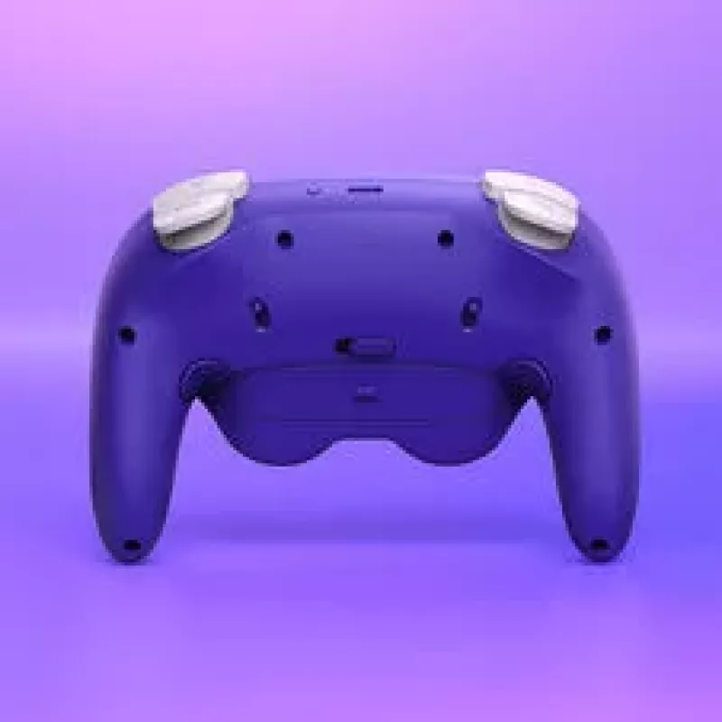 NYXI Warrior Switch 1 & 2 kontroller - Lilla