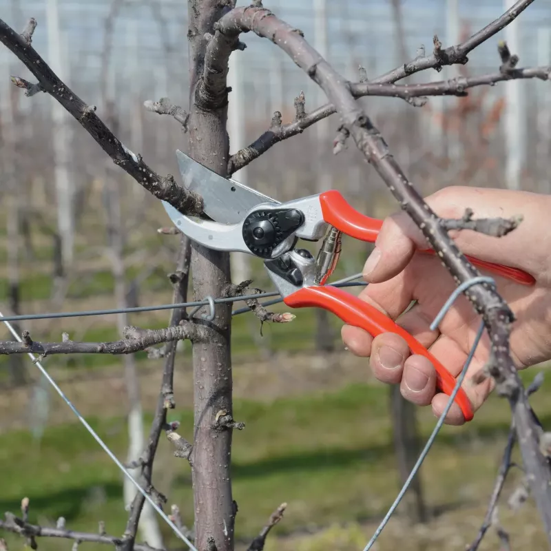 FELCO 2 Classic Bypass Pruning Shears - 25mm Cutting Capacity, Ergonomic Design