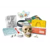 Clementoni Scientific Fun Crazy Anatomy Kit - poola keel - 50697